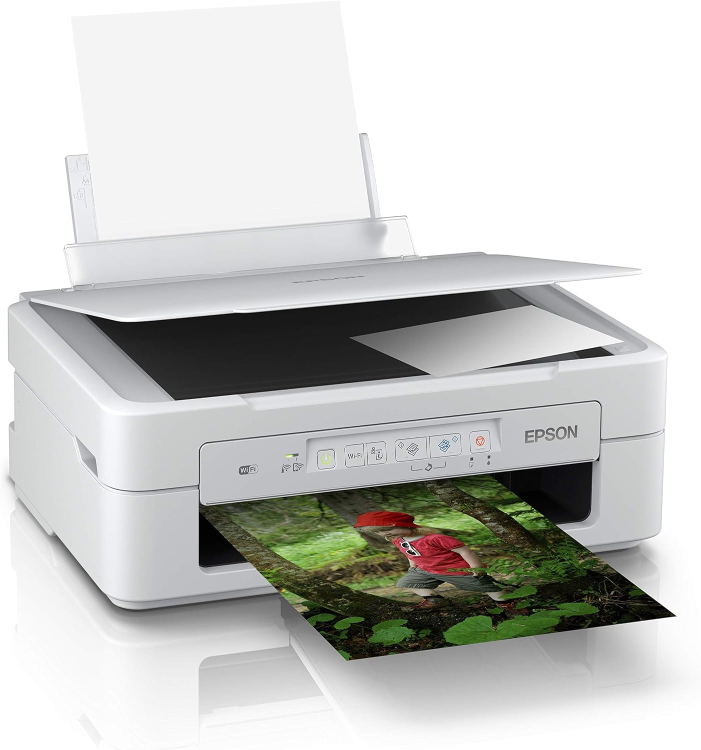Epson printer with blurry printout