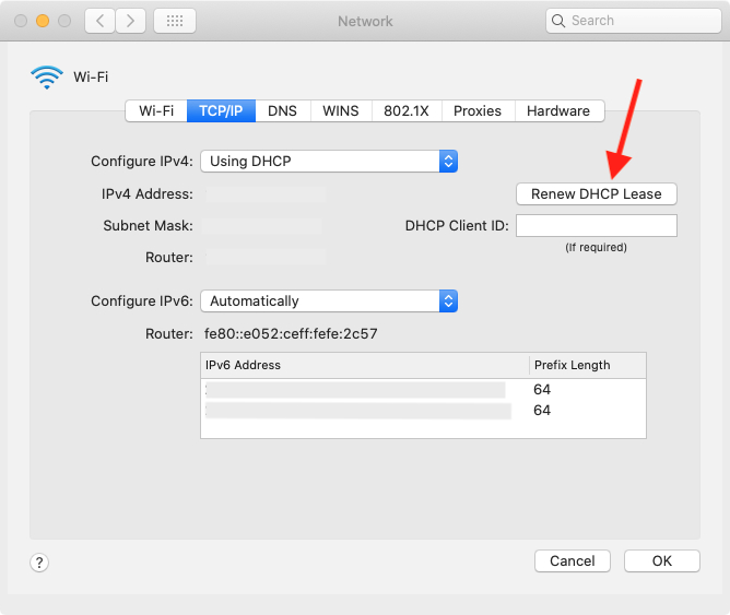 Resetting network settings may resolve any network-related issues.
Go to System Preferences > Network > Advanced > TCP/IP and click "Renew DHCP Lease".